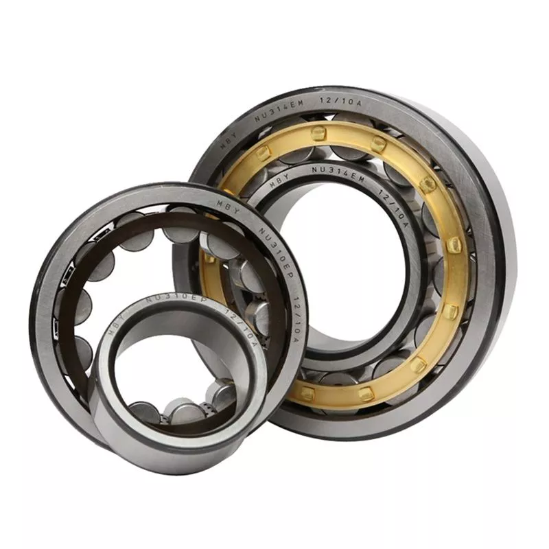 Double Row Full Complement Cylindrical Roller Bearings 1