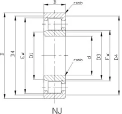 NJ NCF V Single Row Cylindrical Roller Bearings 2